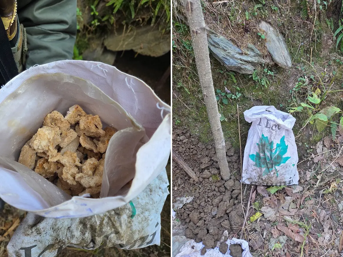 Jharkhand: Drugs Worth Rs 44.1 Lakh Seized, 7 Arrested in Hazaribag