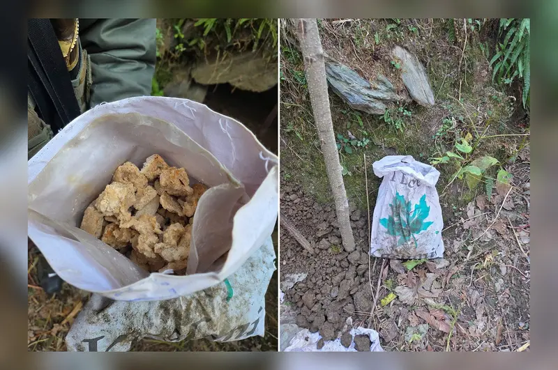 Security forces foil major narcotics smuggling bid in Tangdhar, Kupwara Security forces foil major narcotics smuggling bid in Tangdhar, Kupwara