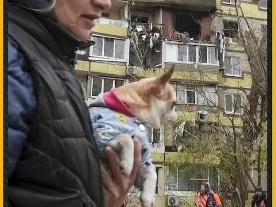 Russia-Ukraine War: Hope Survives Under Ruins After Overnight Strikes