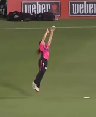 WATCH: 16-year-old Caoimhe Bray takes a screamer in WBBL for Sydney Sixers Women against Perth Scorchers Women