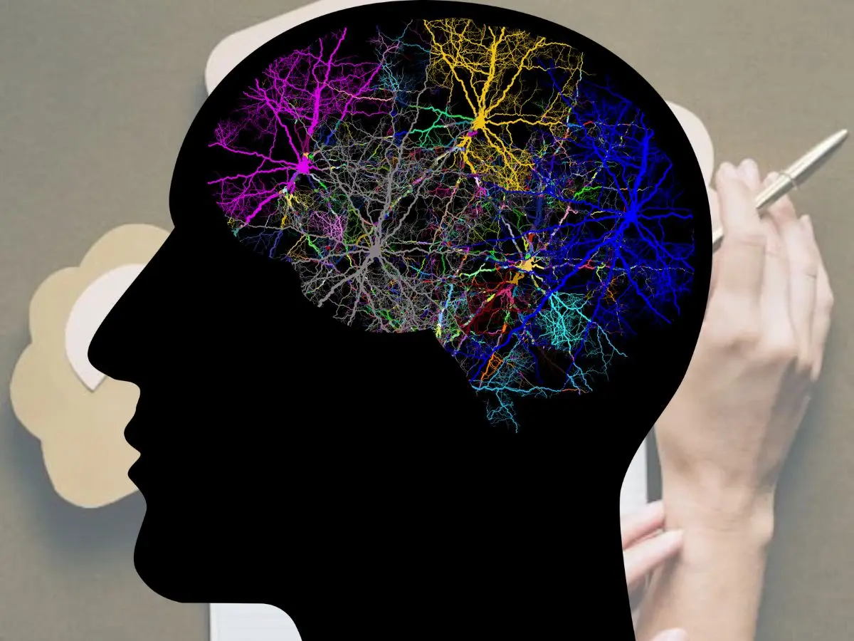 Parallel universe or brain trick? The Mandela effect explained with 5 ...