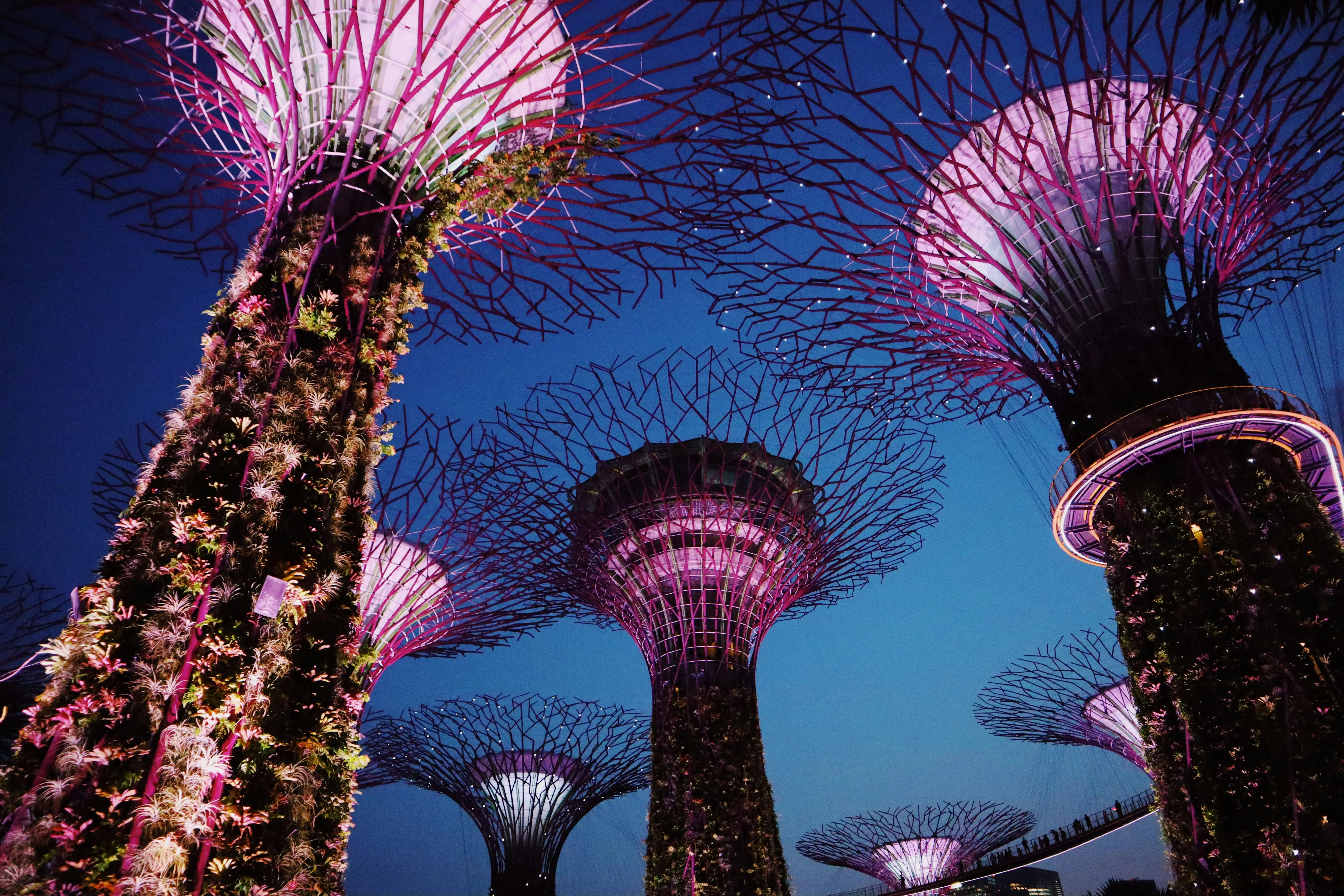 6. green city in a dense space