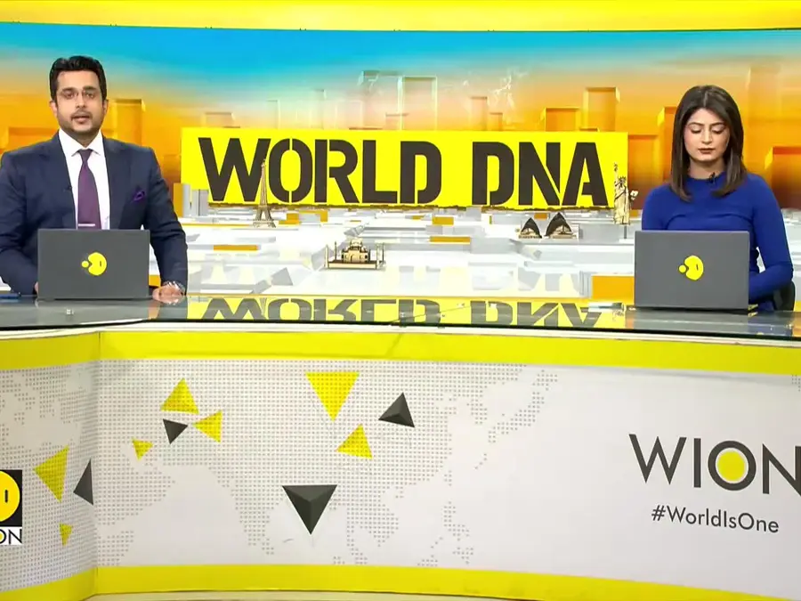 Pawchella 2025: Nairobi’s Dogs Steal the Show in Style and Spirit