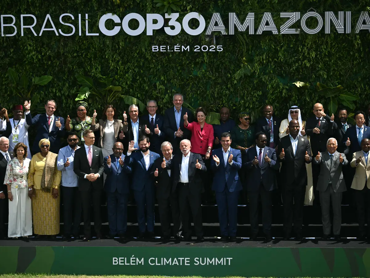 Brazil cut down 100,000 Amazon trees for a climate conference - 'It's become a big scandal' Brazil cut down 100,000 Amazon trees for a climate conference - 'It's become a big scandal'