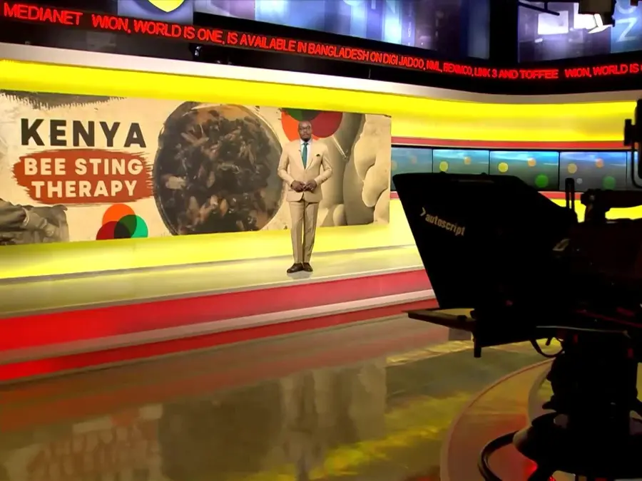 Can Bee Stings Help Cure Illnesses? | World Of Africa