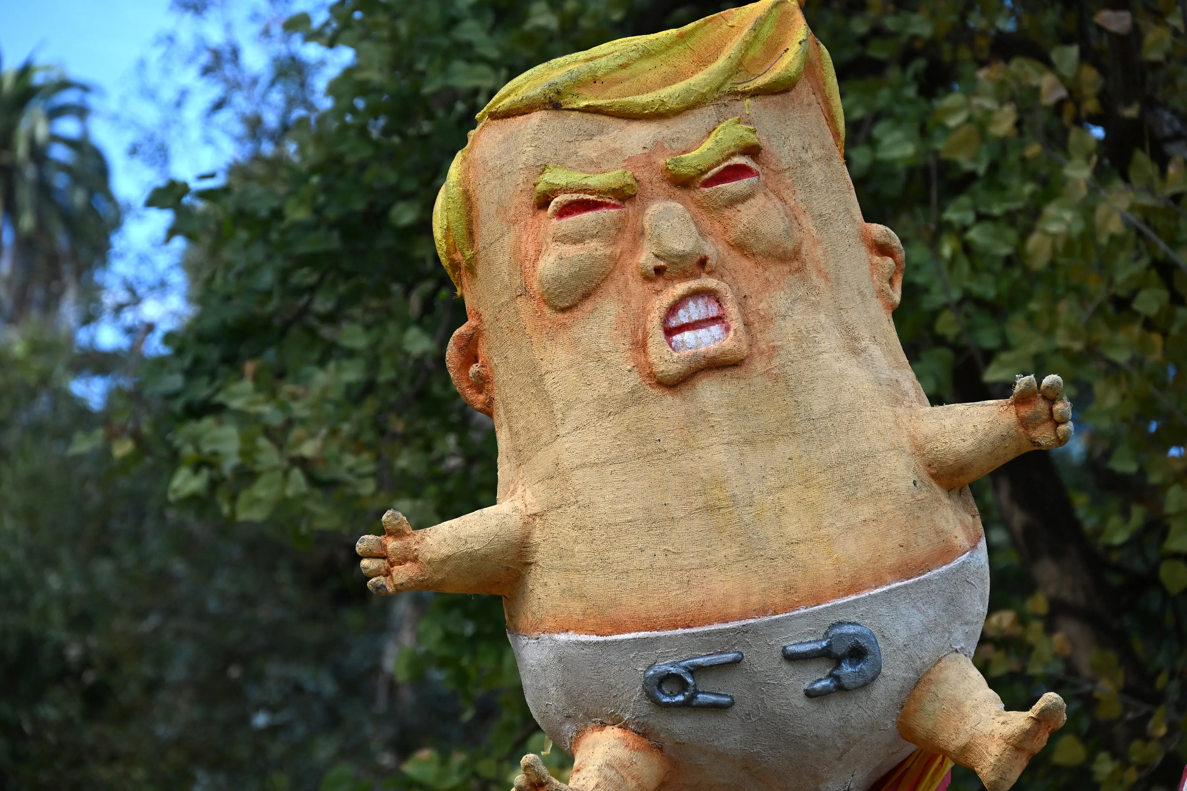79-year-old 'overweight' Trump makes obesity and age grounds for US visa denial. All you need to know