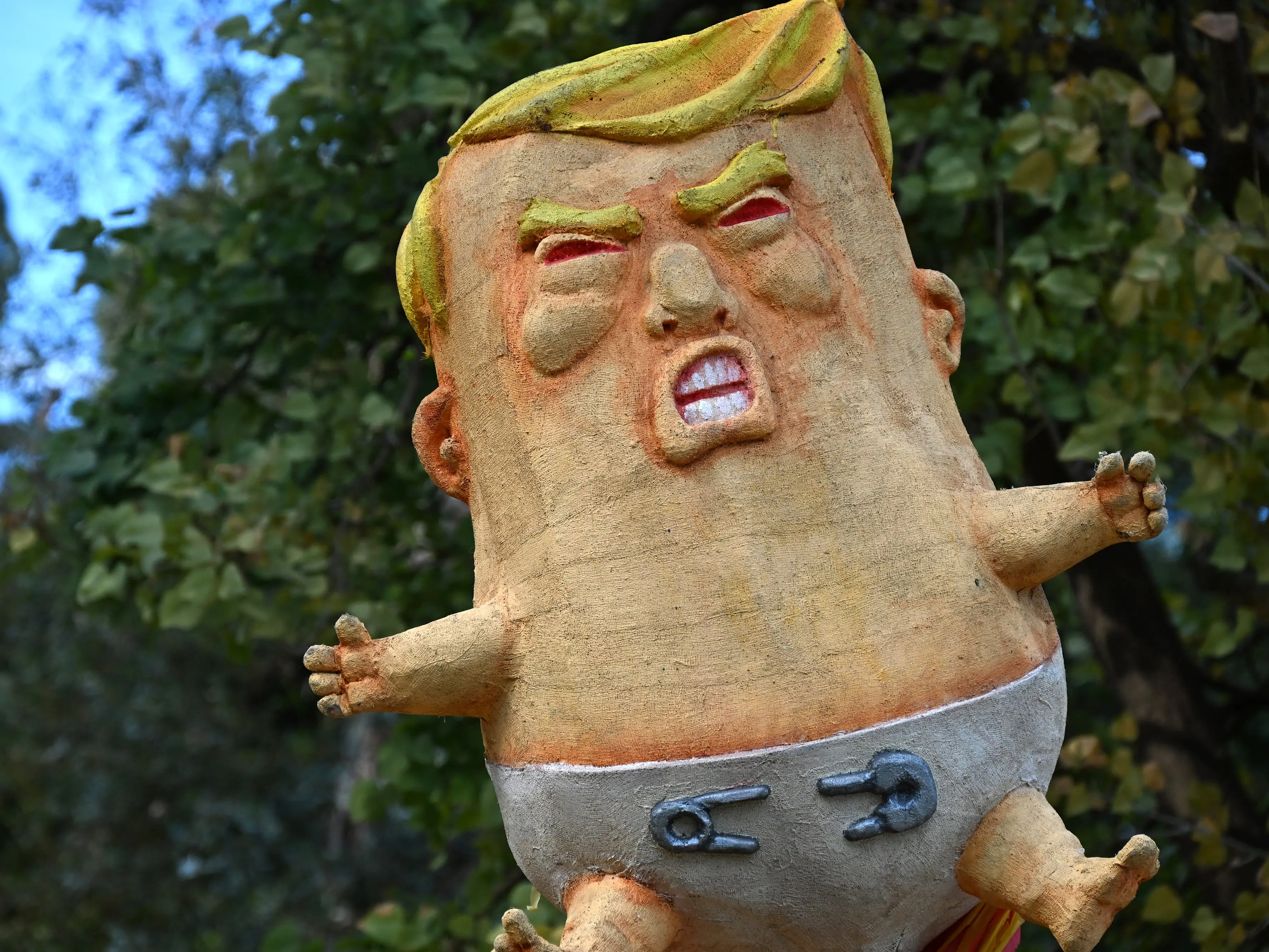 79-year-old 'overweight' Trump makes obesity and age grounds for US visa denial. All you need to know 79-year-old 'overweight' Trump makes obesity and age grounds for US visa denial. All you need to know