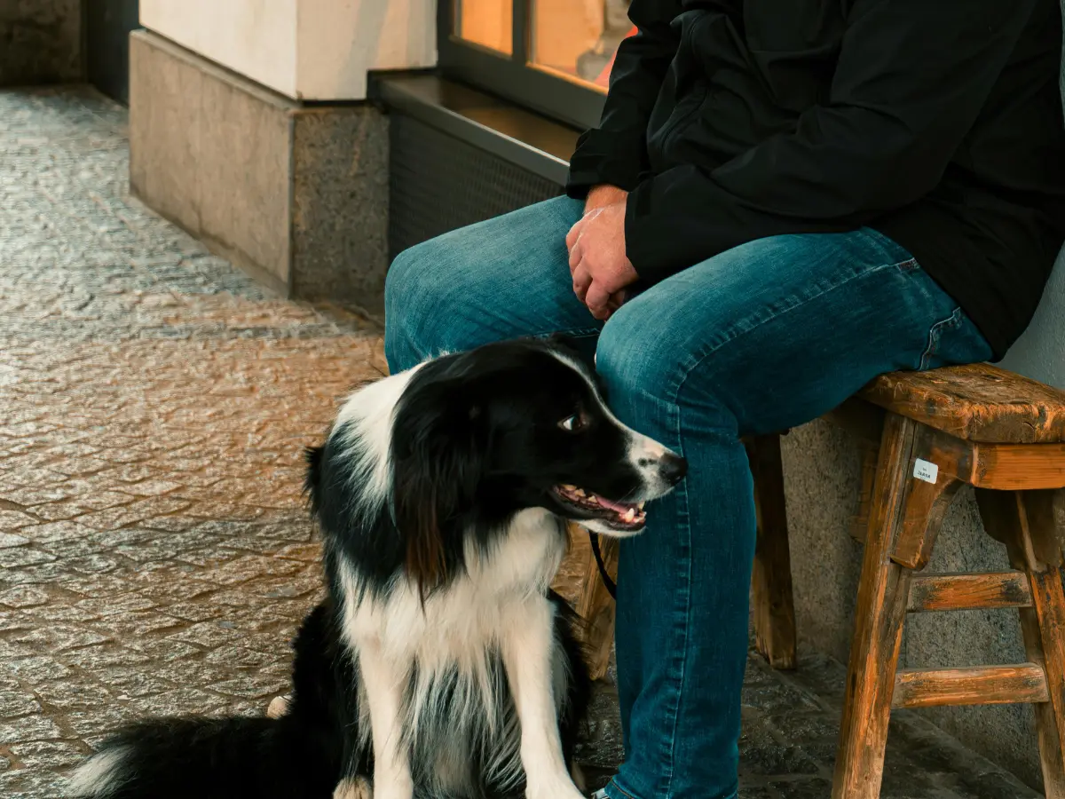 'My dog shot me': Pennsylvania man claims his dog caused his shotgun to go off 'My dog shot me': Pennsylvania man claims his dog caused his shotgun to go off