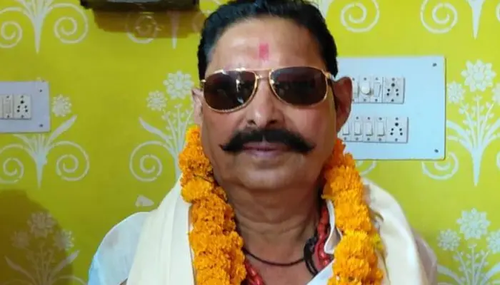 Bihar Election Result 2025 |  From Anant Singh to Hulas Pandey - How 'Bahubalis' and their kin fared in polls