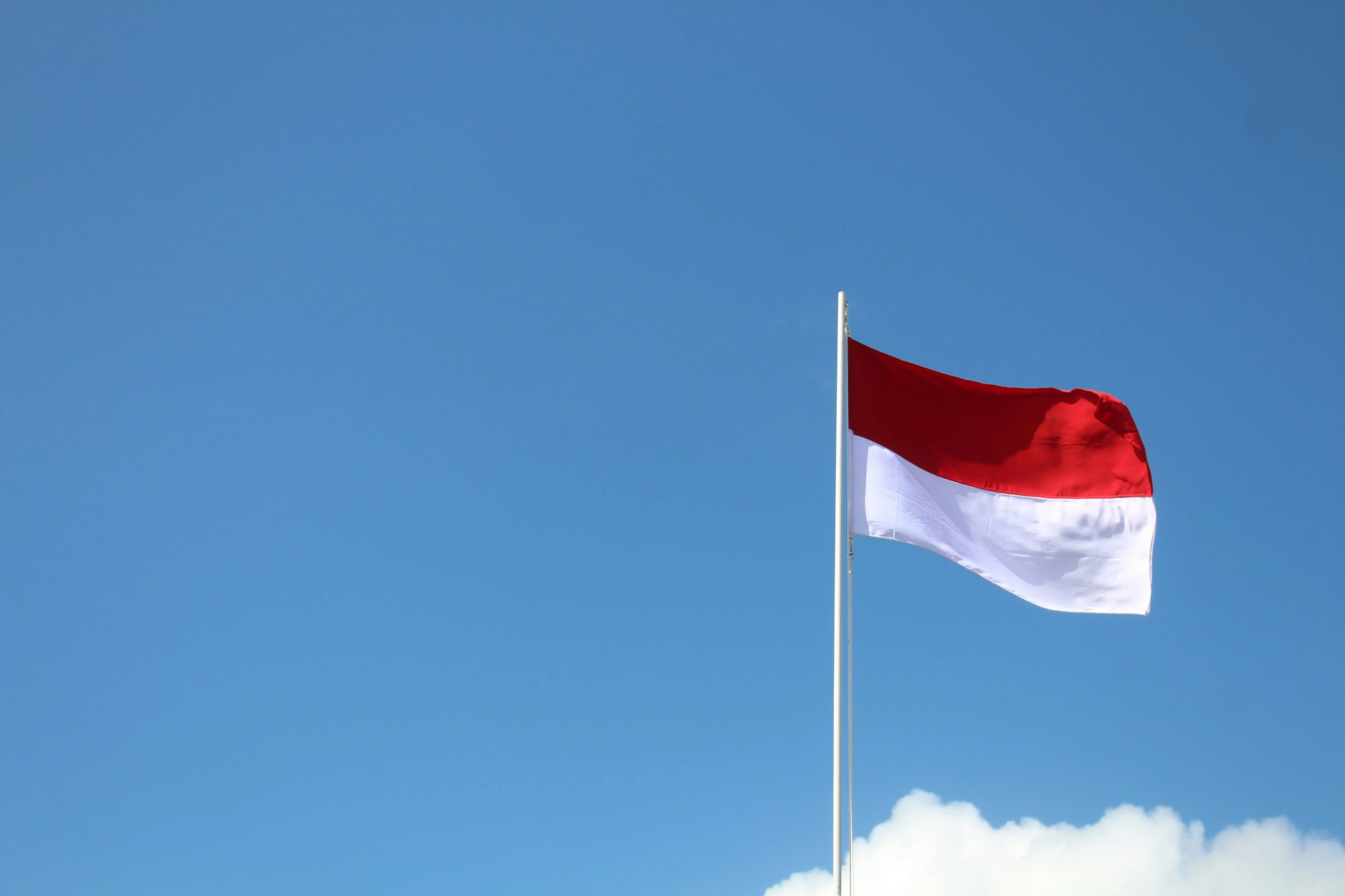 Indonesia - US$45-100 Billion