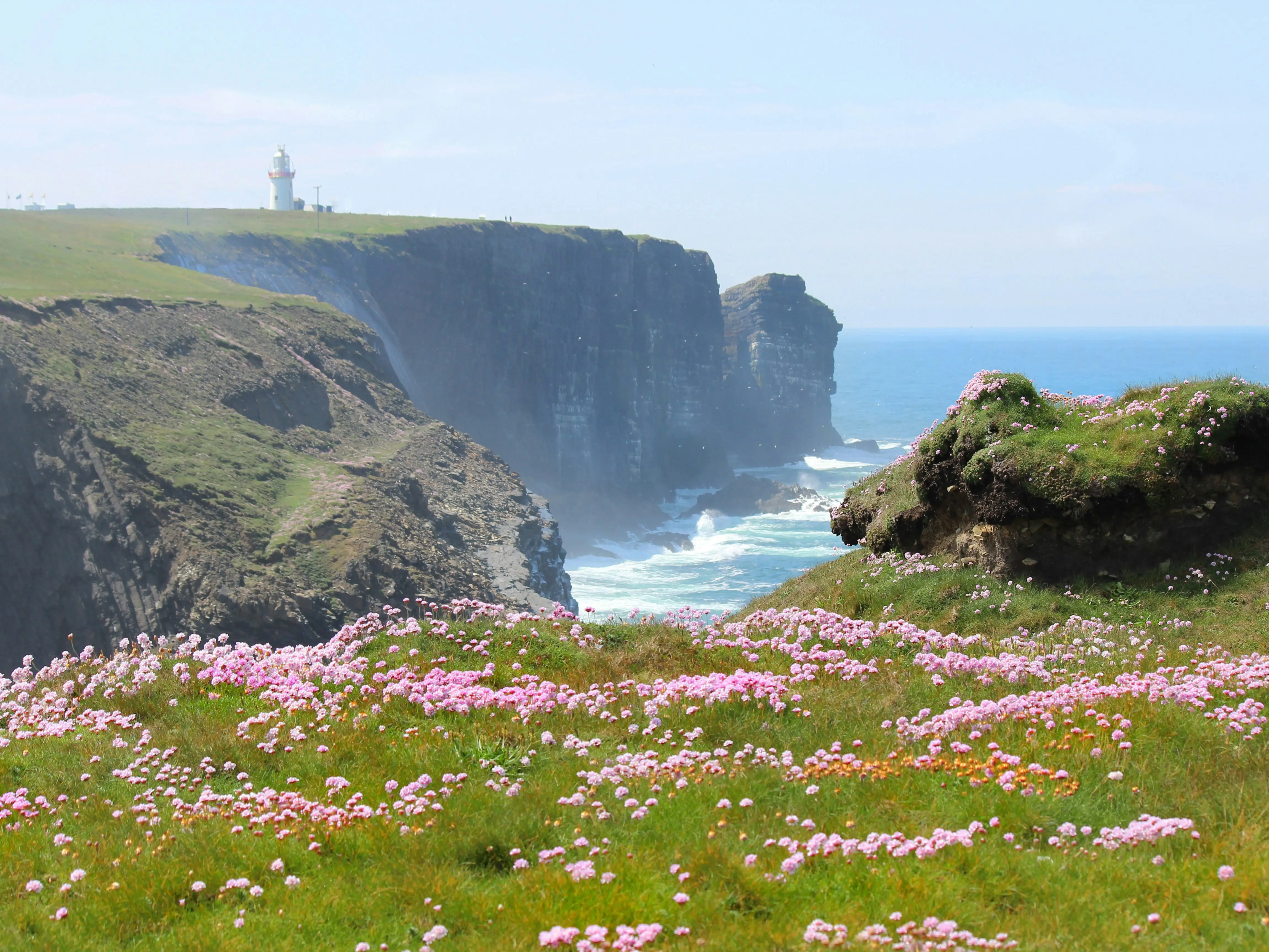 Global Peace Index: Top 7 countries with the highest peace levels. Is India on the list?