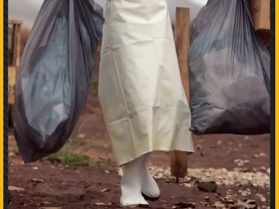 Africa CDC Confirms Deadly Marburg Virus Outbreak in Ethiopia