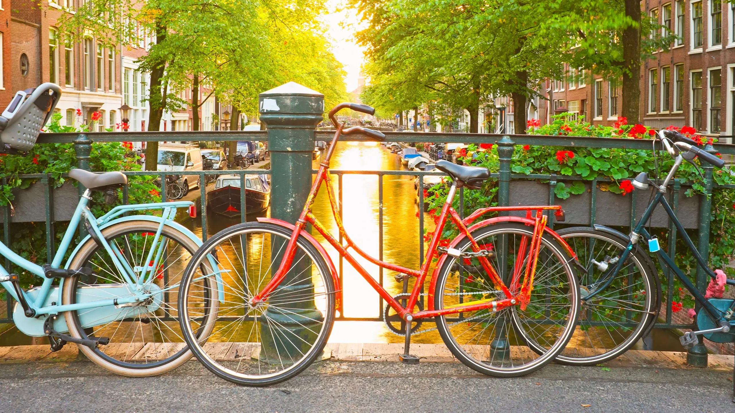Extensive Bicycle Infrastructure