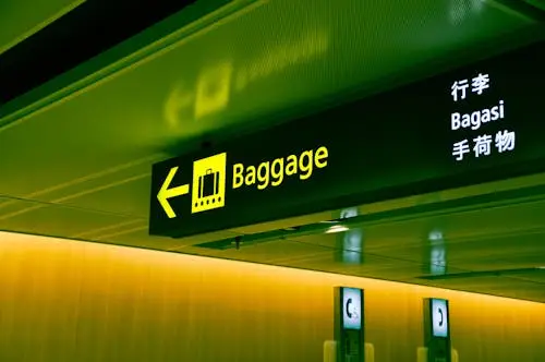 1. Interpreters and Translators – 98% AI impact