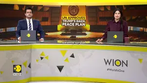 Gaza: UN Security Council Approves Trump’s Controversial Gaza Peace Plan  