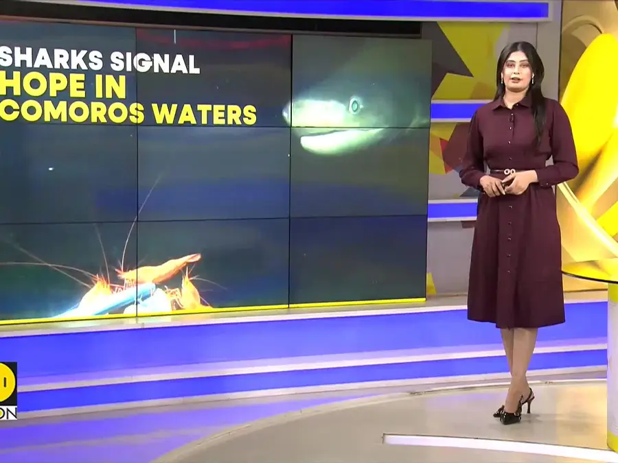 Hidden reefs thrive in Indian Ocean