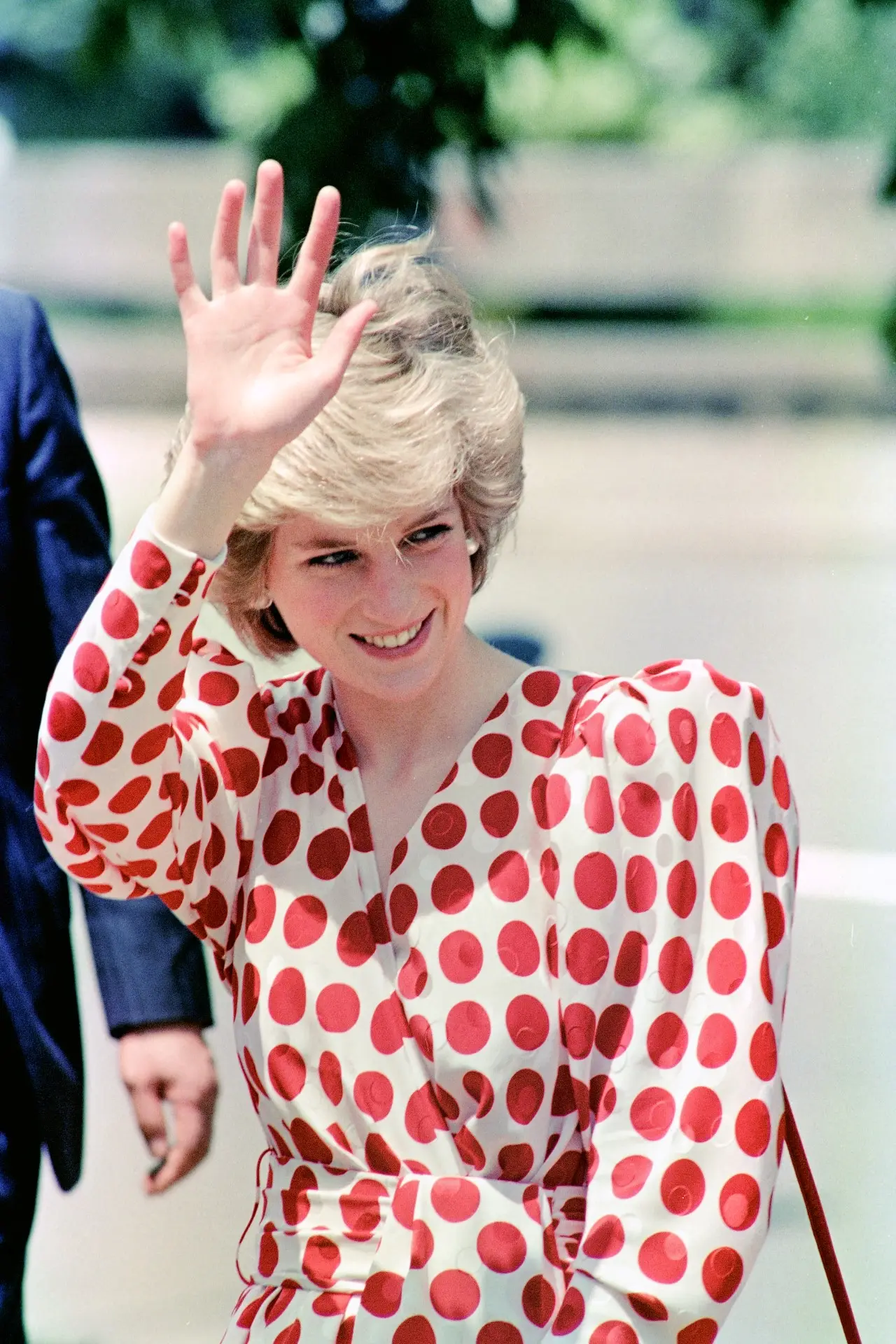 Princess Diana, Wales