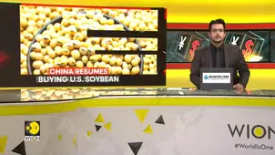 China-U.S.: China Resumes Massive Soybean Purchases from the U.S. in 2025