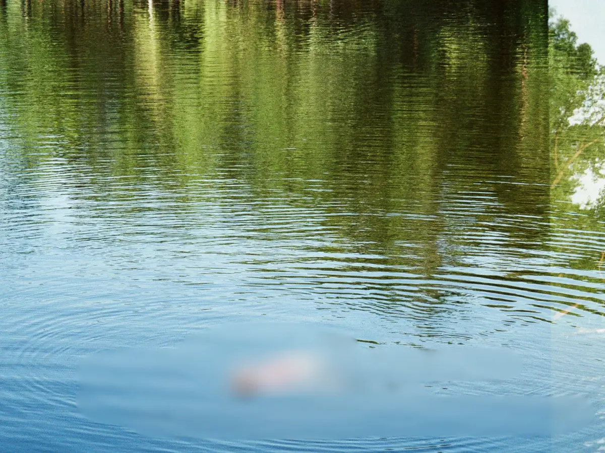 Sister saw her brother 'sleeping' in bed. He had died 3 days ago in a drowning accident far from home