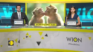 When Was the First Kiss? New Evidence Says 21 Million Years Earlie