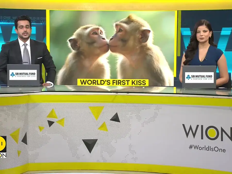 When Was the First Kiss? New Evidence Says 21 Million Years Earlie