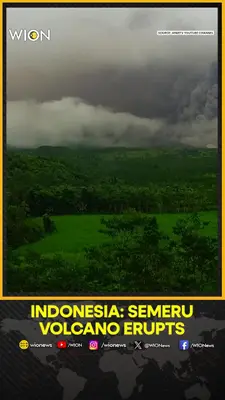 Wion News