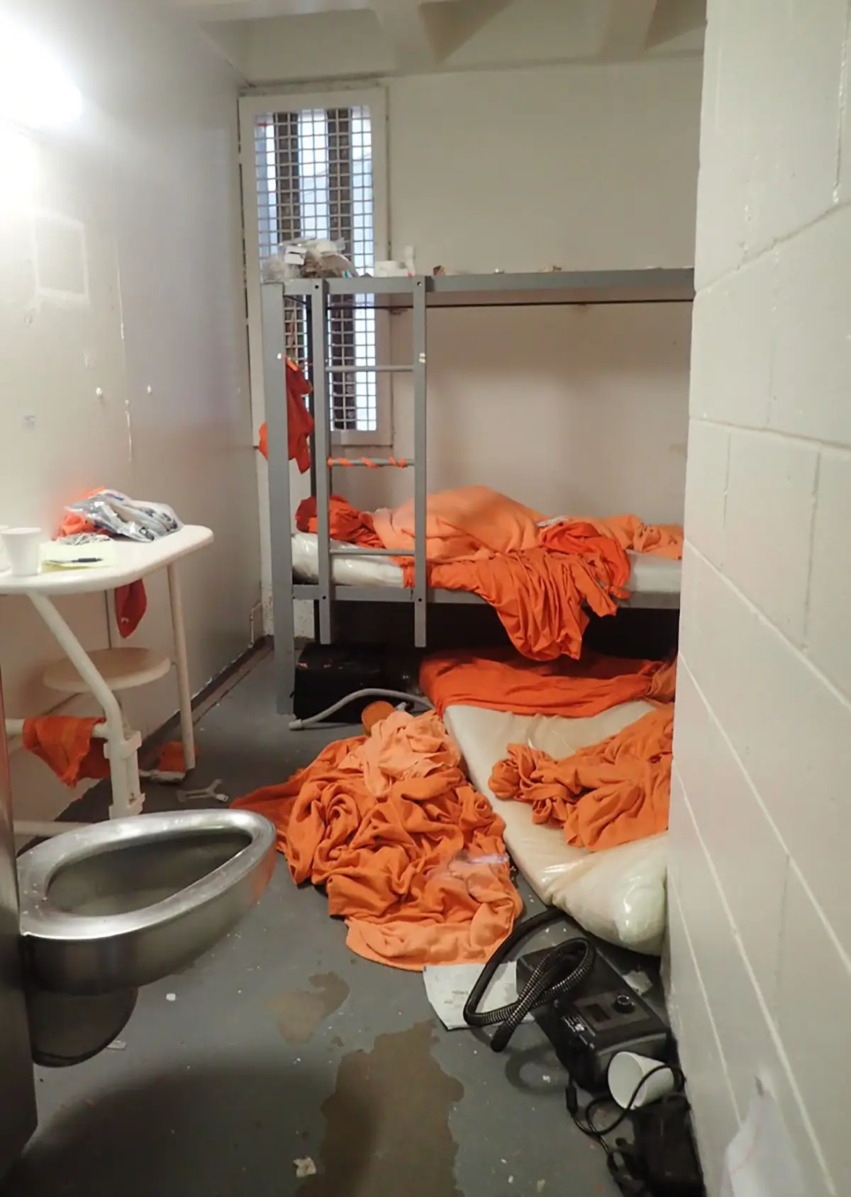 Federal arrest, jail death, and collapse of the Epstein network (2019)