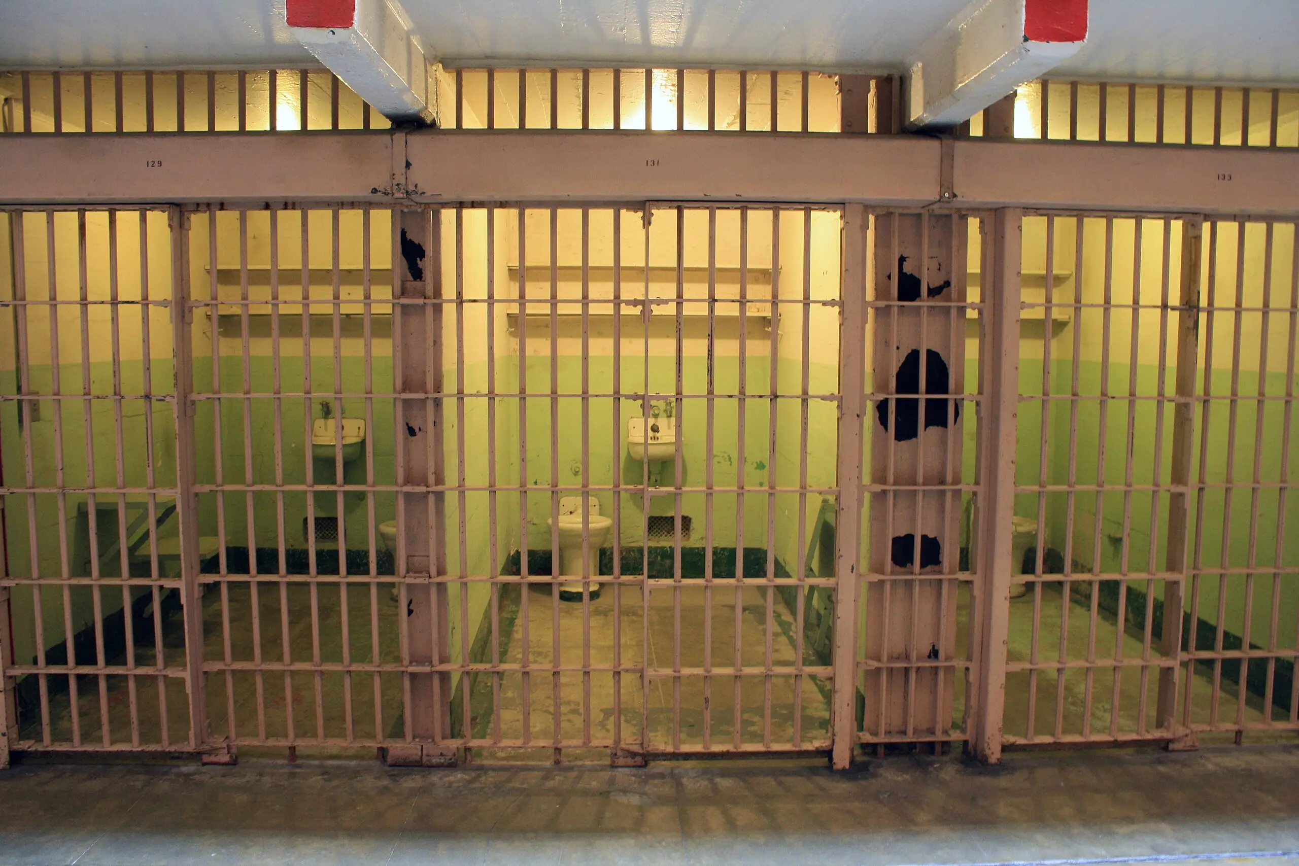 The Myth and Reality of ‘Shark Guards’