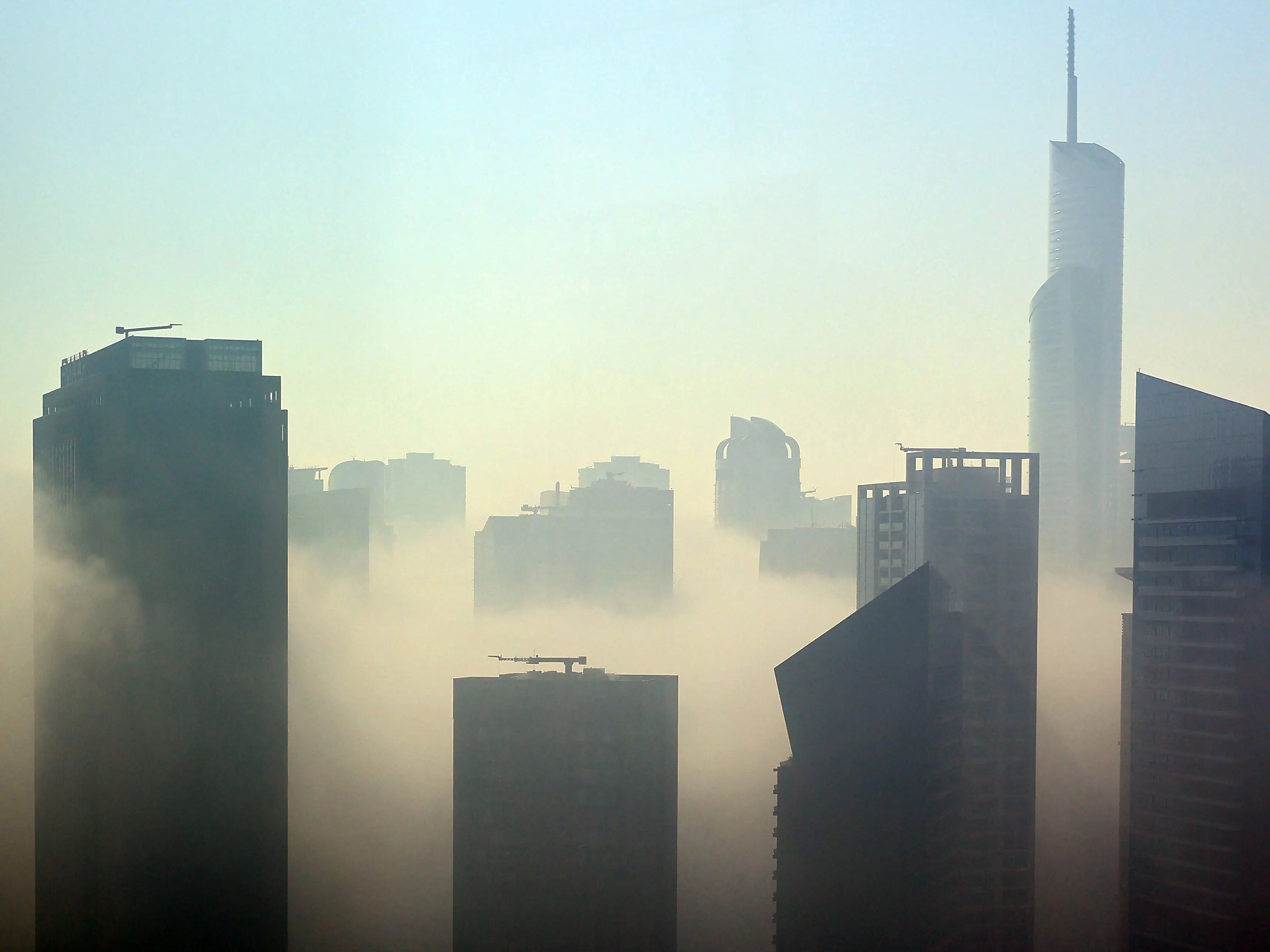 ‘Looks like Delhi’: Dense fog engulfs Dubai, Burj Khalifa 'missing’ trends online ‘Looks like Delhi’: Dense fog engulfs Dubai, Burj Khalifa 'missing’ trends online