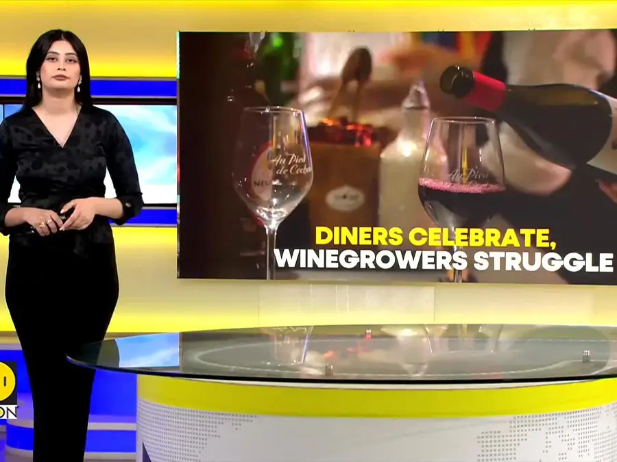 Diners Celebrate, Winegrowers Struggle: Shrinking Harvest Sparks Protests 