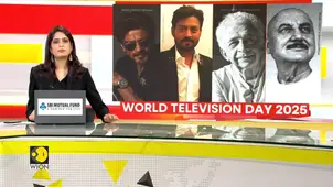 World Television Day 2025: Indian Film Stars who Began As TV Actors