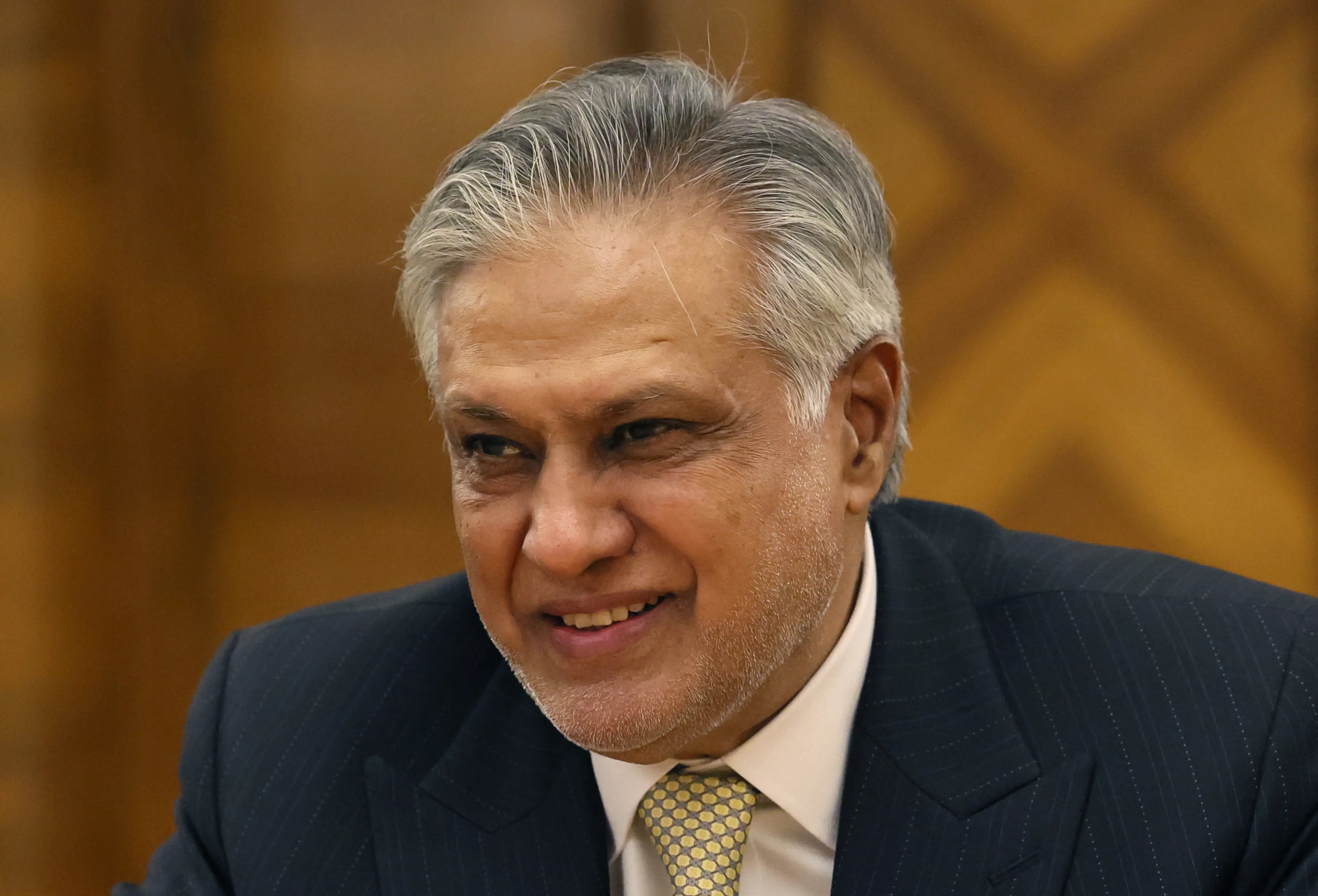 Keeping Indus Waters Treaty in abeyance is 'real threat' to regional stability, says Pakistan Deputy PM Dar
