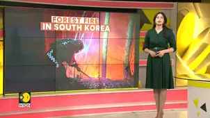 Korea Forest Service Mobilizes 26 Helicopters at Daybreak for Fire Response 
