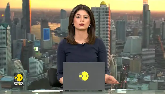 Exploding Kittens Dead Jakarta News - Latest Jakarta News, Breaking Jakarta News, Jakarta News ...