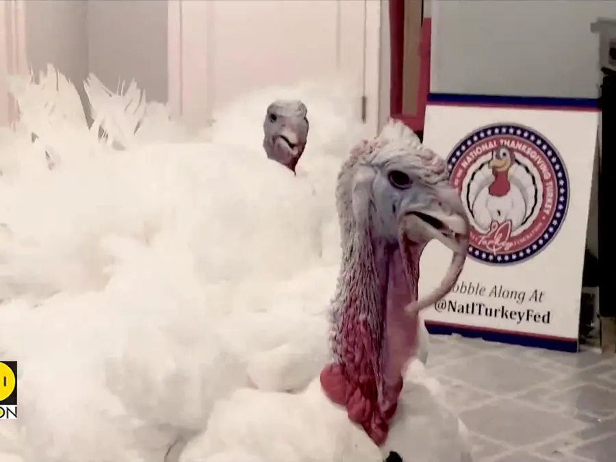 Trump Roasts Enemies and Pardons Turkeys in Controversial Thanksgiving Move