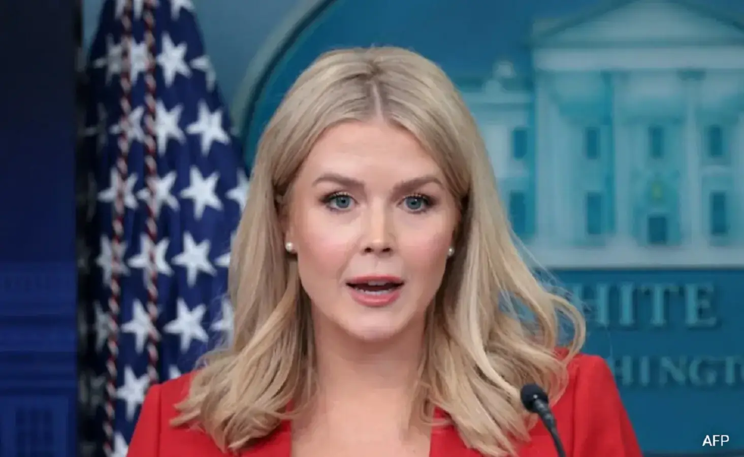 White House Press Secretary Karoline Leavitt’s relative detained by ICE