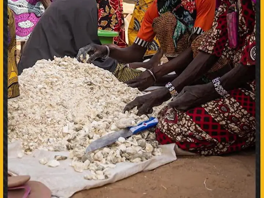 24 Farmers Kidnapped in New Bandit Raid in Niger