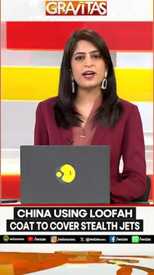 Wion News