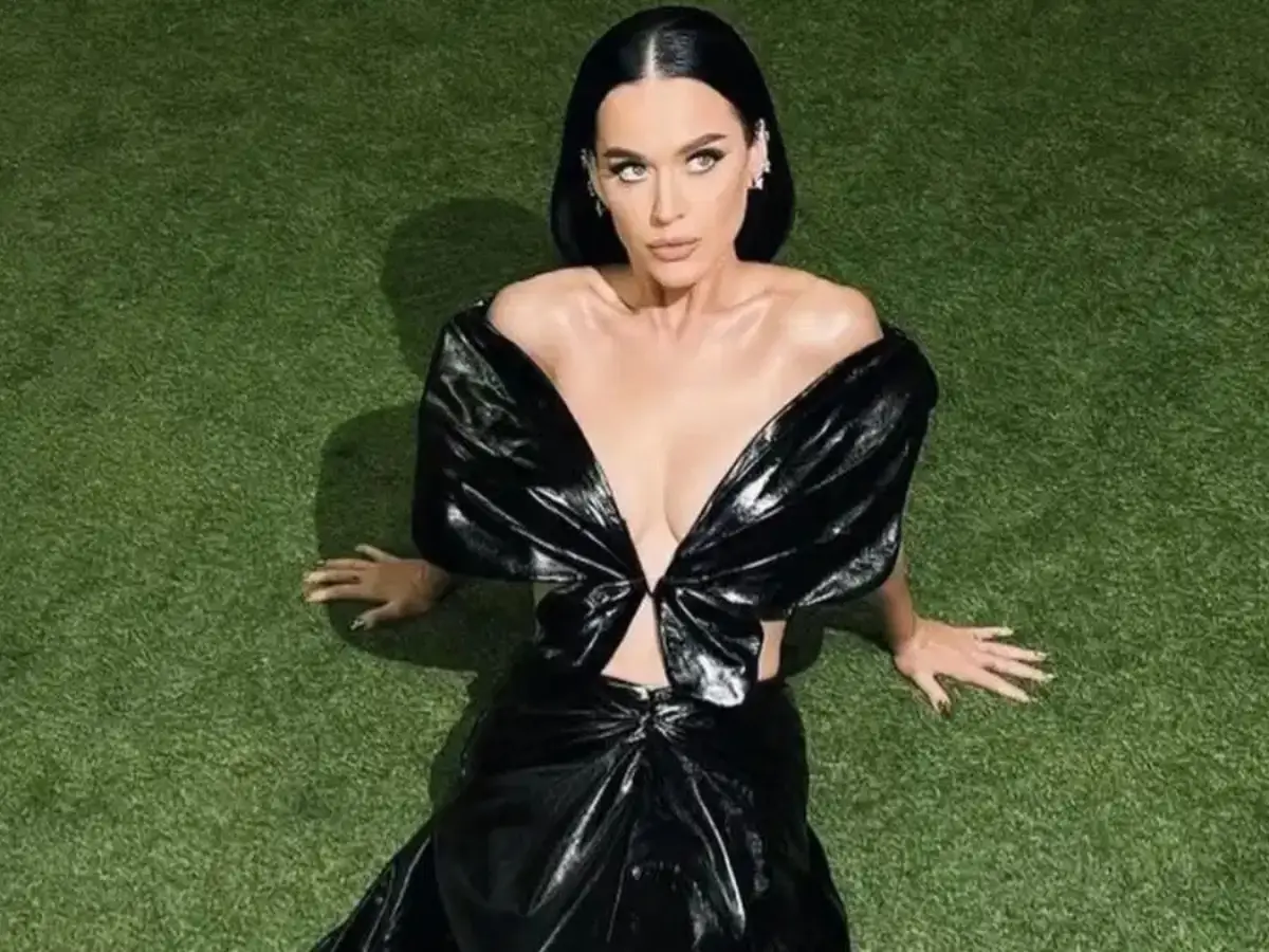 Why did Katy Perry file a lawsuit against 85-year-old disabled veteran? Here's what we know Why did Katy Perry file a lawsuit against 85-year-old disabled veteran? Here's what we know