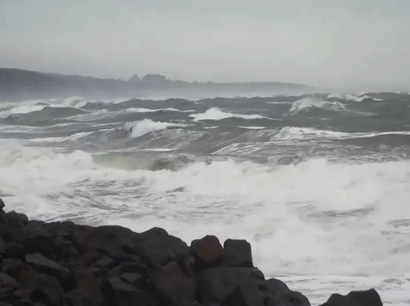 India braces for Cyclone Ditwah: Origin of name, landfall time – All you need to know India braces for Cyclone Ditwah: Origin of name, landfall time – All you need to know