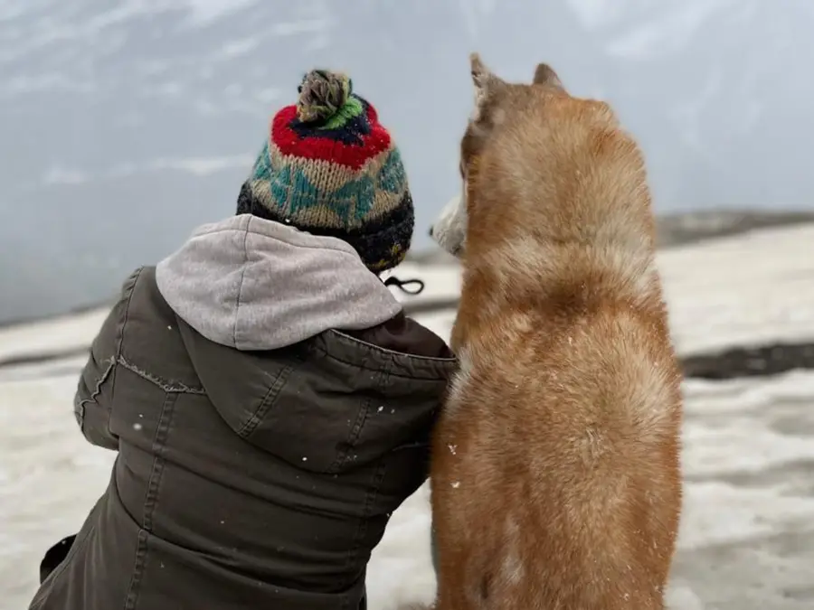 Oslo: A Tail of Promise: Teaser of John Abraham-backed film drops at IFFI 2025