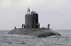 Growing Capability: Kilo and Type 209 Inductions