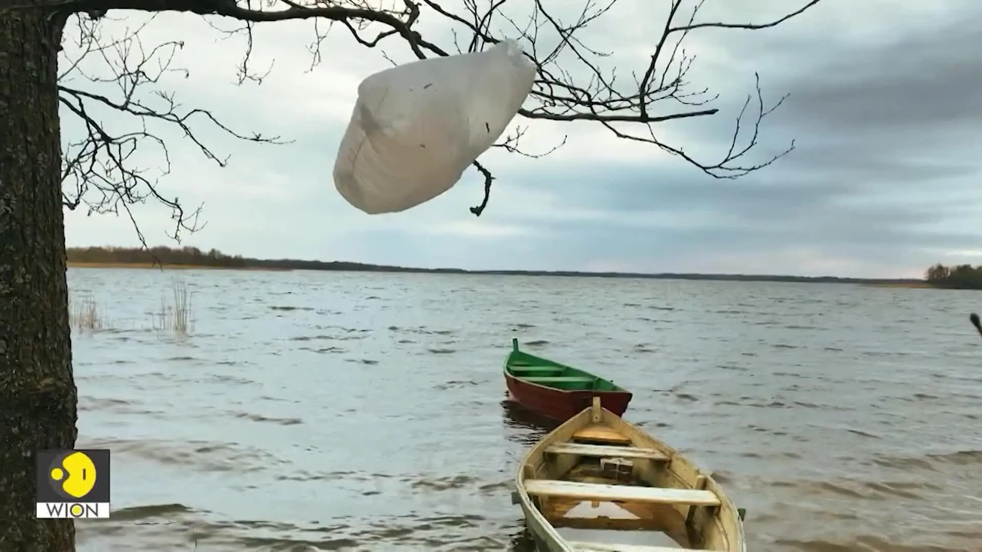 WION Mission Sustainability 2025 | No Action, Not An Option