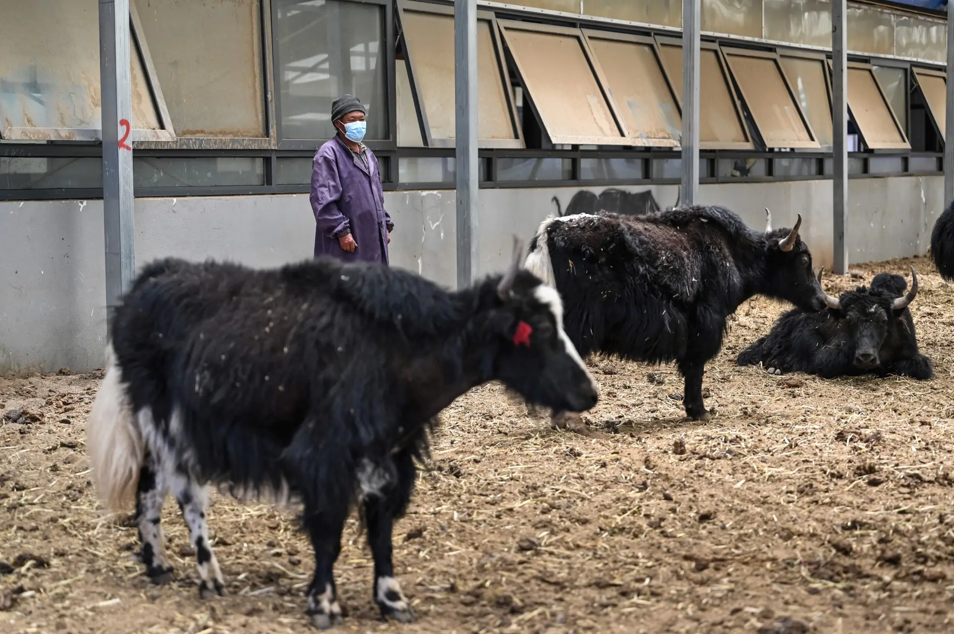 88% of microbes found were unknown