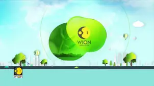 Mission Sustainability: Experts Discuss How Electric Vehicles Drive Global Ecosystem Revolution