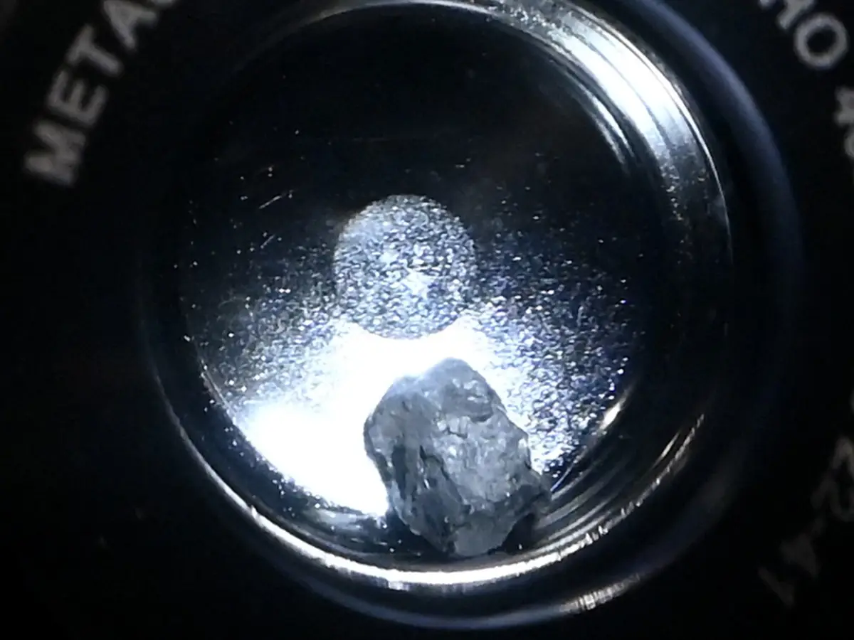 Asteroid Bennu carries the building blocks of HAPPINESS, NASA finds