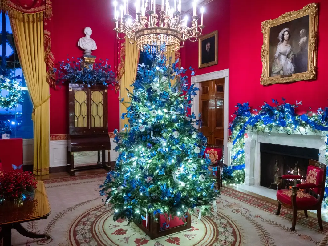 Melania Trump’s 10,000 Christmas butterflies go viral viewers call them ‘ugly insects’