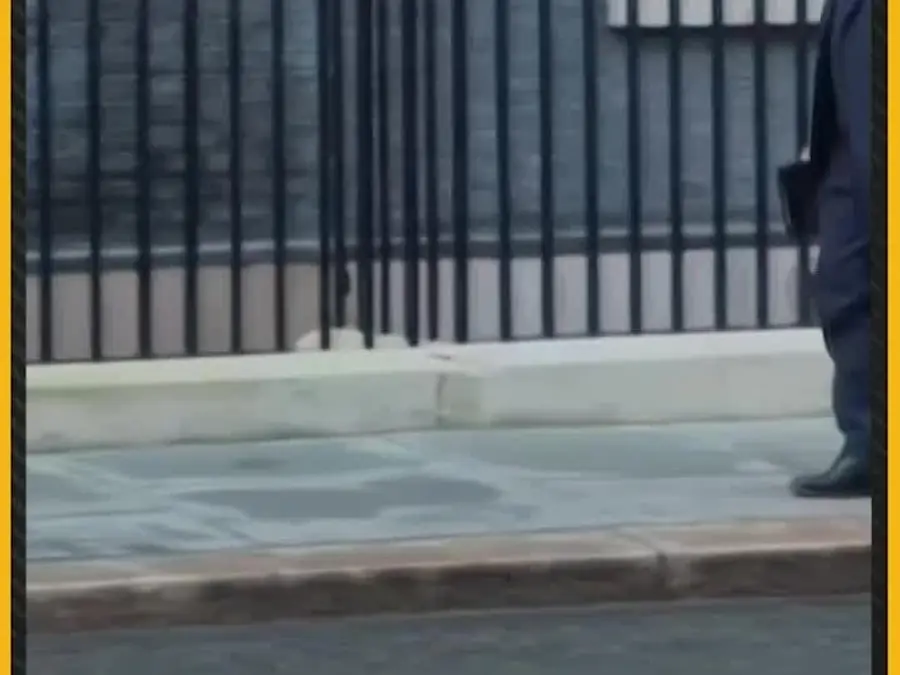 UK PM Starmer Greets German President Steinmeier at Downing Street