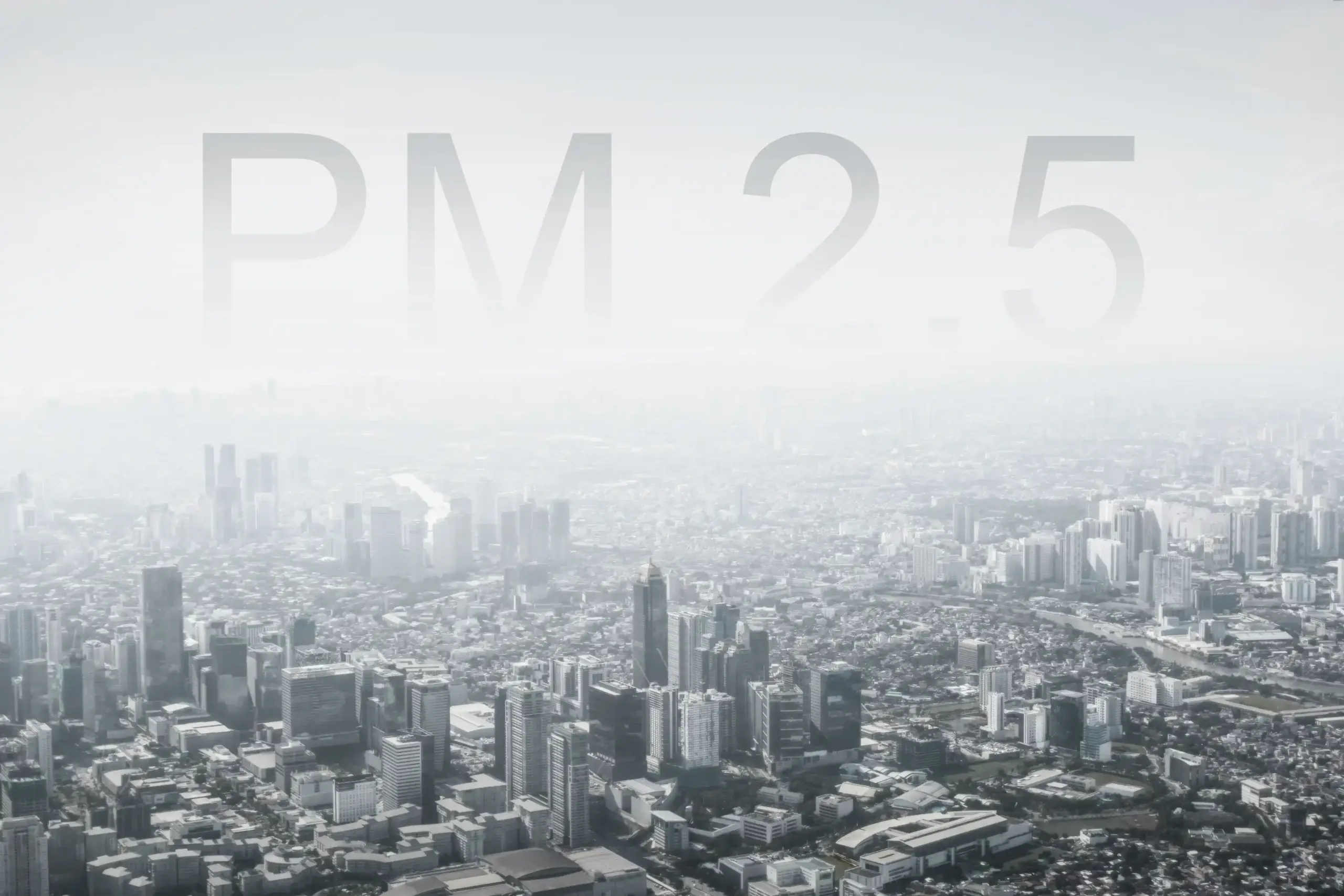 PM2.5 Particulates Penetrate Deep Into Lungs and Bloodstream