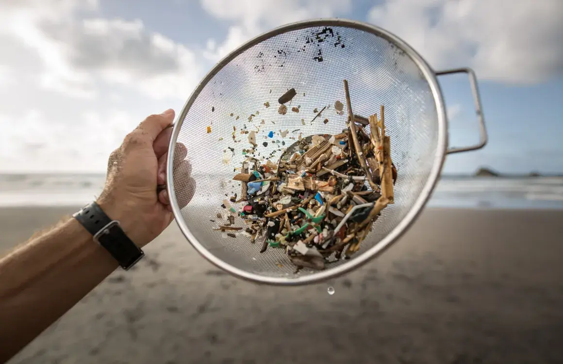 Microplastics Accumulate in Human Organs and Tissues